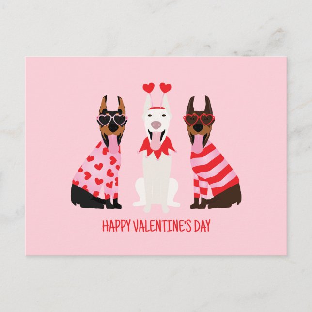 Carte Postale Joyeux Valentines Day Chiens Dobermann (Devant)