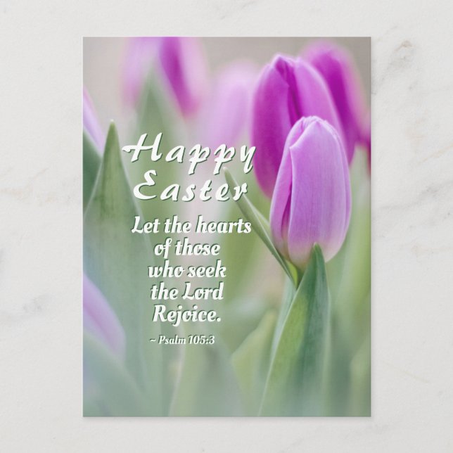 Carte Postale Joyeux Verset Bible de Pâques Tulipes roses (Devant)
