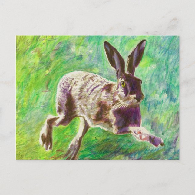 Carte Postale Joyful hare 2011 (Devant)
