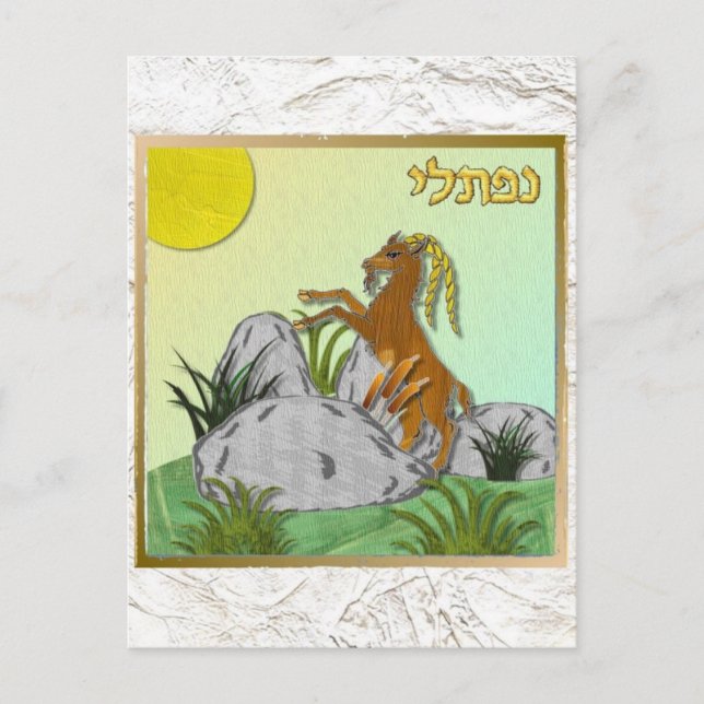 Carte Postale Judaïque 12 tribus Israël Naphtali (Devant)