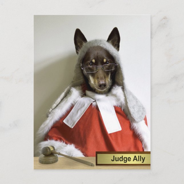 Carte Postale Juge Ally (Devant)