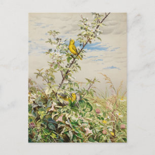 Carte Postale Juin   Fidelia Bridges