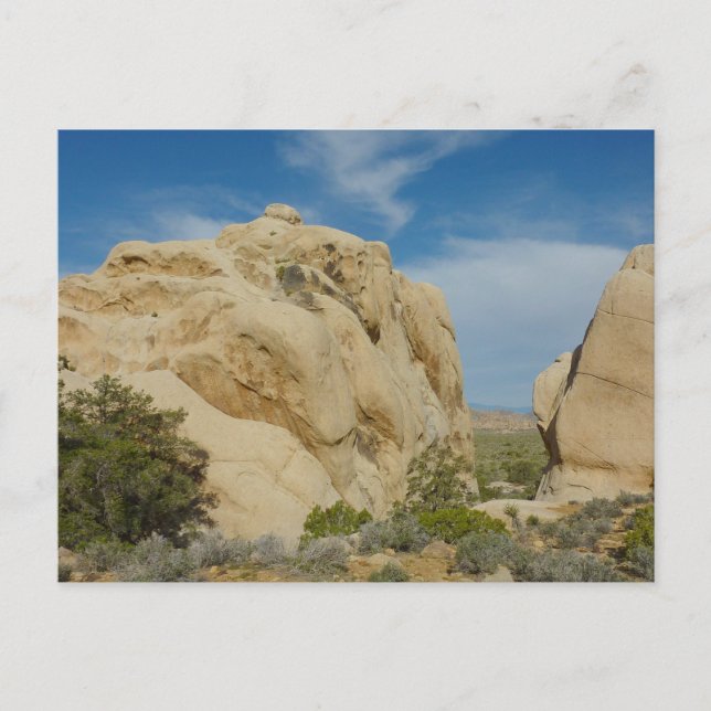 Carte Postale Jumbo Rocks au parc national Joshua Tree (Devant)