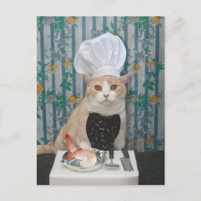 Carte Postale Jumbo Shrimpies ! (Devant)