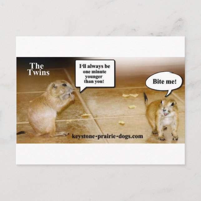 Carte Postale Jumeaux (Devant)