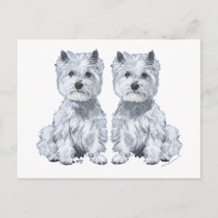 Carte Postale Jumeaux Terrier West Highland White !