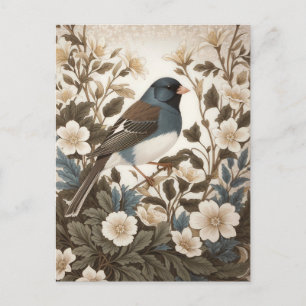 Carte Postale Junco aux yeux noirs élégant Fleur crème