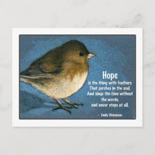 CARTE POSTALE JUNCO BIRD AVEC DIT