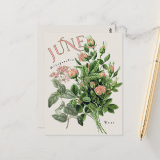Carte Postale June Month Flowers Honeysuckle Rose Beige