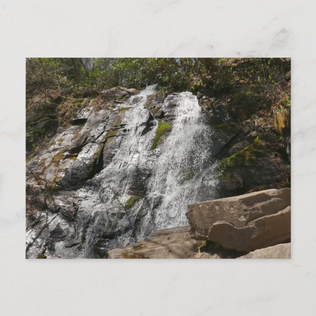 Carte Postale Juney Whank Falls dans les montagnes Smoky (Devant)