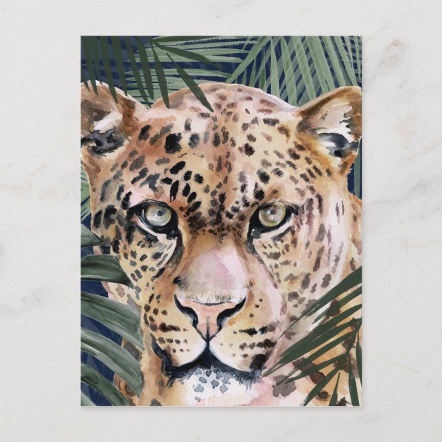 Carte Postale Jungle Cat - Cheetah (Devant)