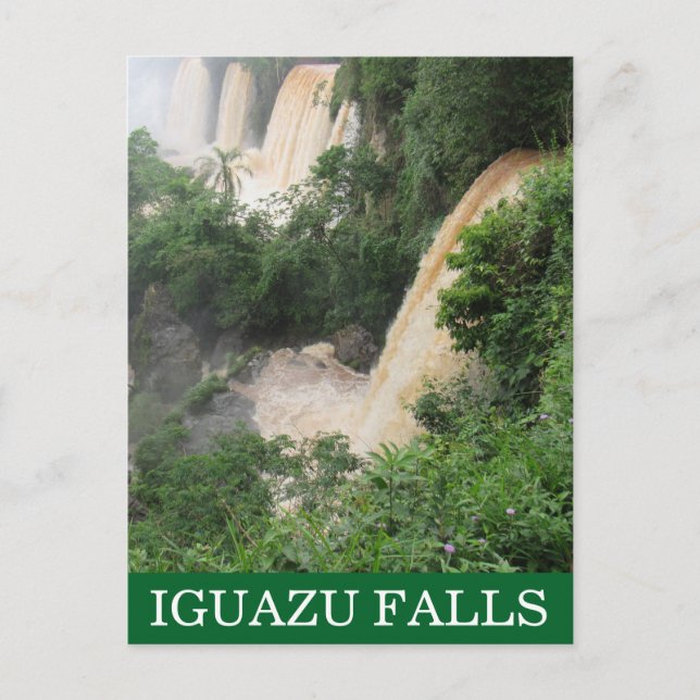 Carte Postale jungle de cataratas iguazu (Devant)