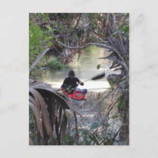 Carte Postale Juniper Springs, Fl