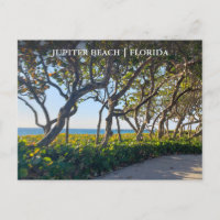 Carte postale Jupiter Florida Ocean Pier et Sea Gr