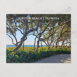 Carte postale Jupiter Florida Ocean Pier et Sea Gr