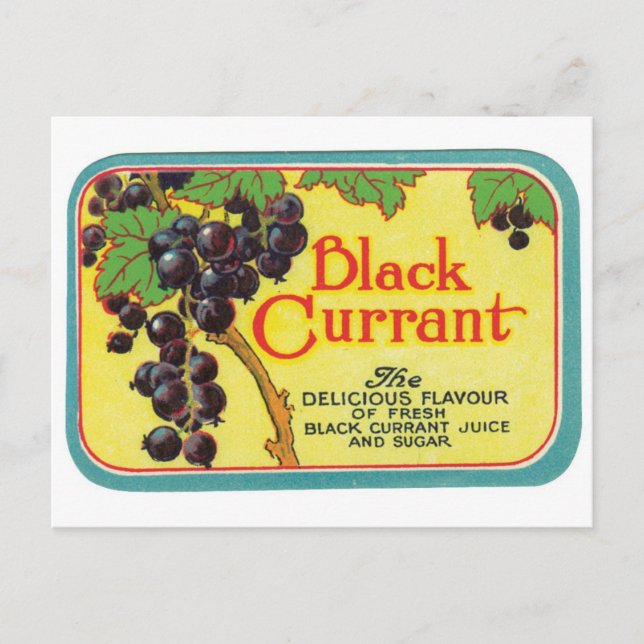 Carte Postale Jus de currant noir Berries foncées Art Étiquette  (Devant)