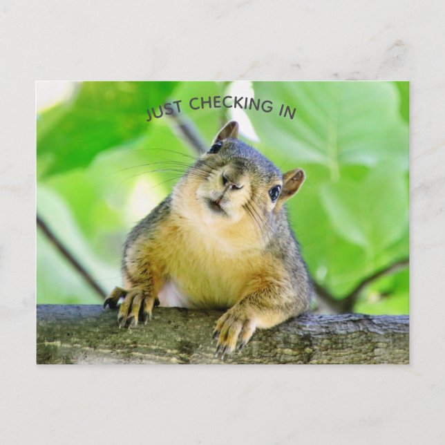 Carte Postale Juste Archiver (Devant)