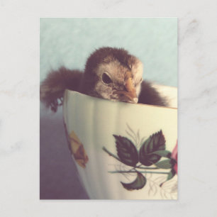 Carte Postale Juste Chillin'