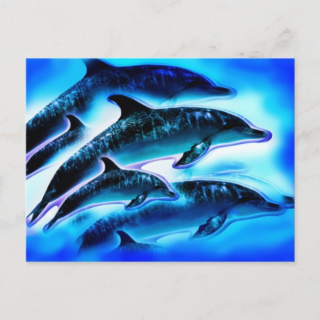 Carte Postale Juste des dauphins (Devant)