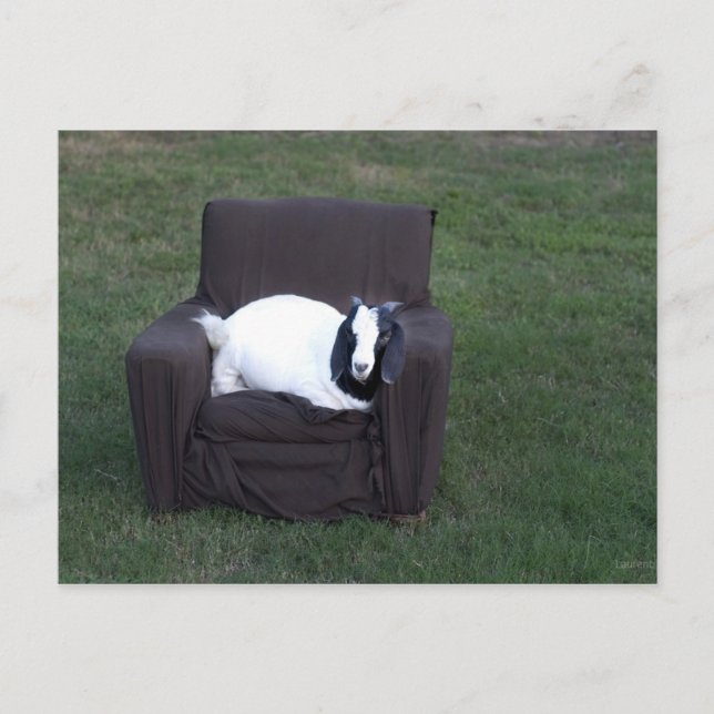 Carte Postale Juste détendez-vous (Devant)