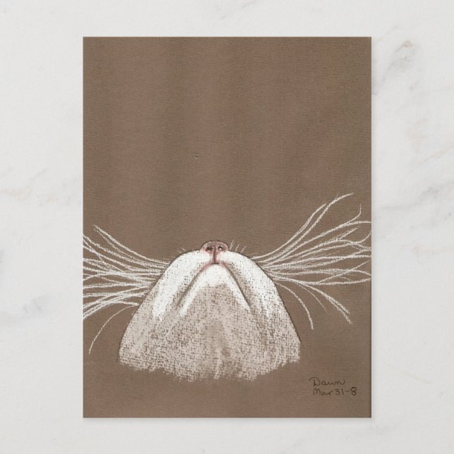Carte Postale juste les chats qui murmurent (Devant)