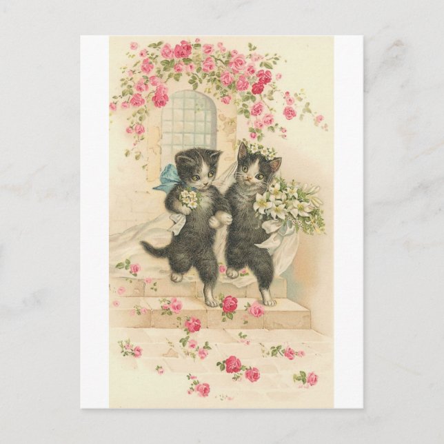 Carte Postale Juste marié Kitty Chats (Devant)