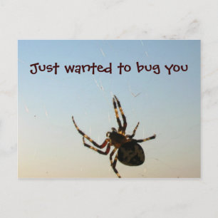 Carte Postale Juste pour vous embêter