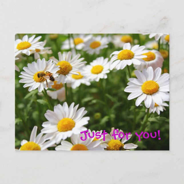Carte Postale Juste pour vous pastcard (Devant)