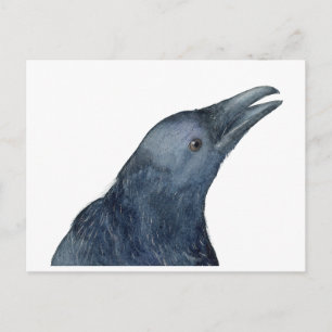 Carte Postale Juste un croassement amical