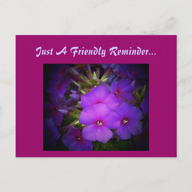 Carte Postale Juste Un Rappel Amical...Carte Postale (Devant)