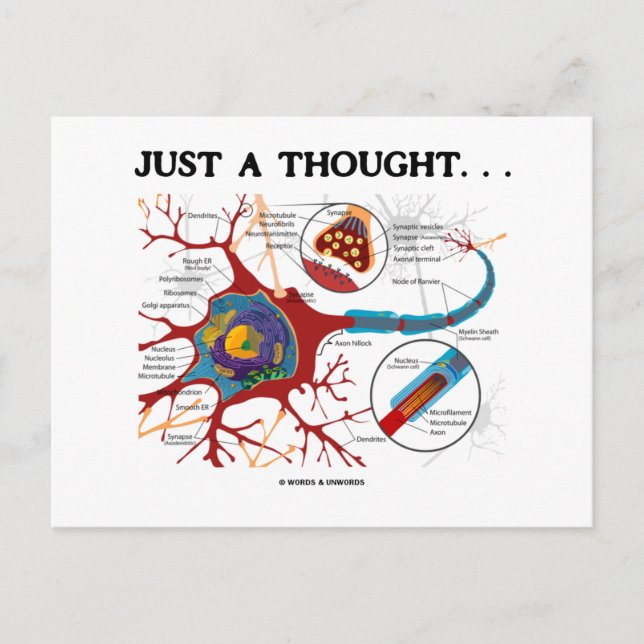 Carte Postale Juste Une Pensée... (Neuron / Synapse) (Devant)