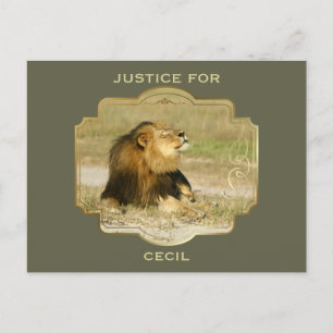 Carte Postale Justice pour Cecil le lion tué en Afrique