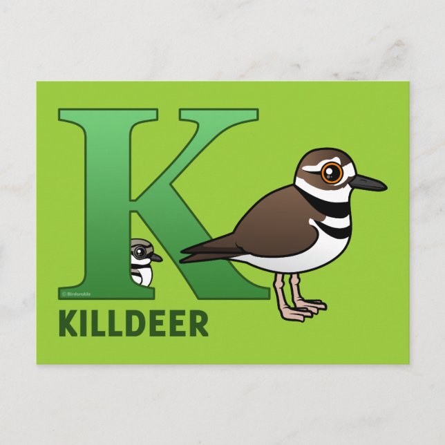 Carte Postale K est pour Killdeer (Devant)