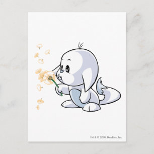 Carte Postale Kacheek White