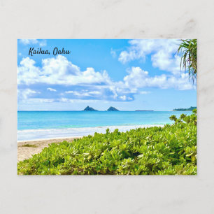 Carte Postale Kailua, Oahu 