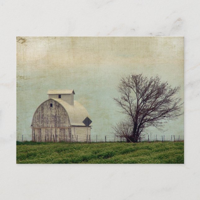 Carte Postale Kalona Iowa Champs et grange avec arbre (Devant)