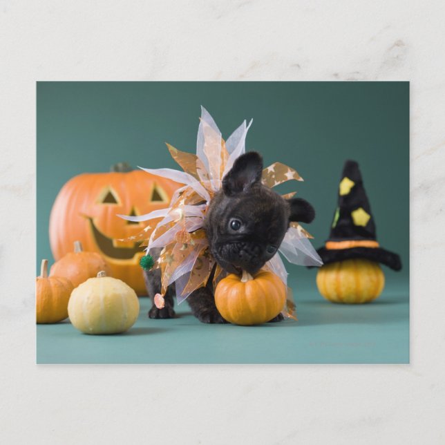 Carte Postale Kanagawa, Honshu, Japon (Devant)