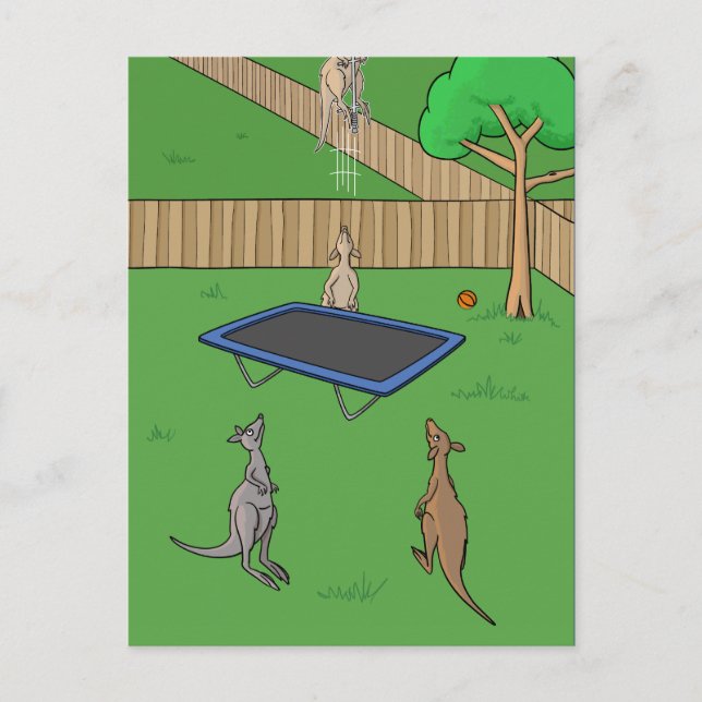 Carte postale Kangaroo Trampoline Bounce (Devant)