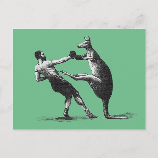 Carte Postale Kangourou de boxe vintage (Devant)
