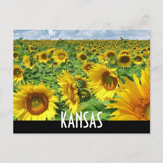 CARTE POSTALE KANSAS (Devant)