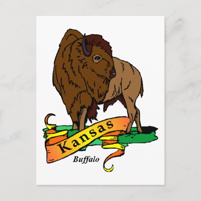 Carte Postale Kansas Buffalo (Devant)