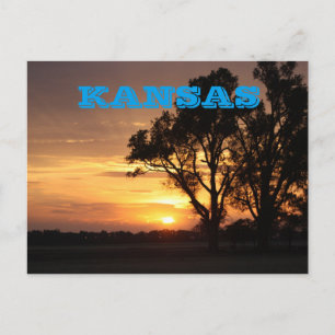 Carte Postale Kansas coucher de soleil avec arbre Silhouette, CA