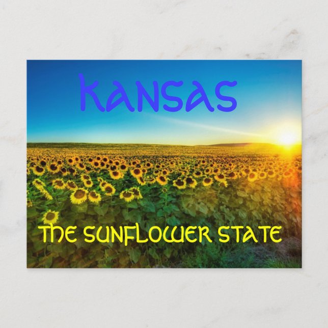 Carte postale Kansas "L'État du tournesol" (Devant)