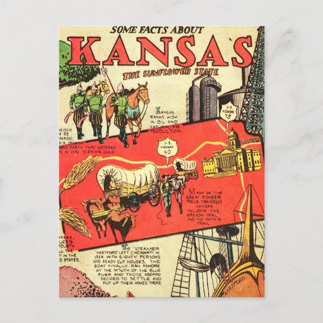 Carte Postale Kansas l'État Fleur de Tournesol (Devant)