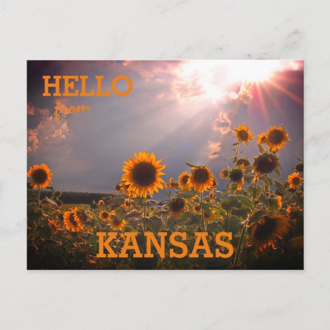 Carte Postale Kansas Sunflower Salutations (Devant)