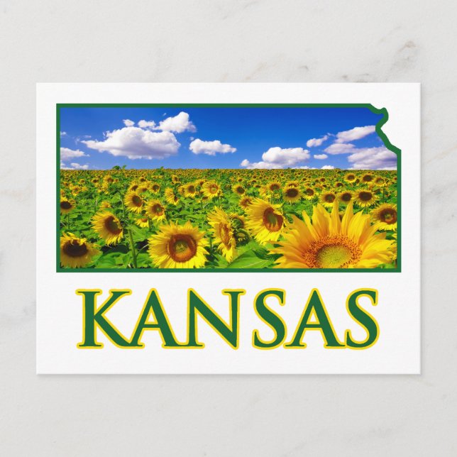 Carte Postale Kansas Sunflower Sky (Devant)