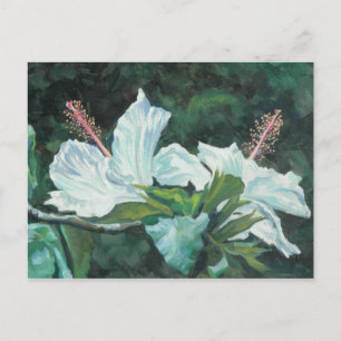 Carte Postale Kao Kao 5