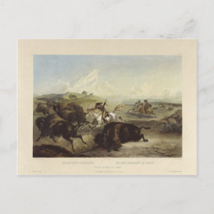 Carte Postale Karl Bodmer- Des Indiens chassent le bison