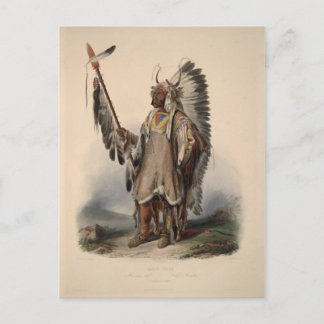 Carte Postale Karl Bodmer - Un chef mandan