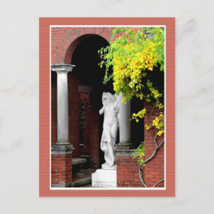 Carte Postale Kate pieds nus